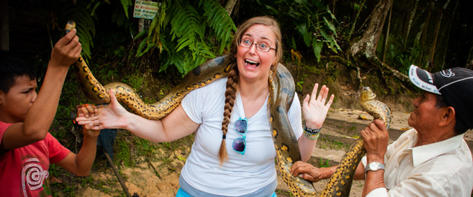 Global Rotator Rachel Snake